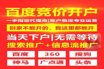 百度竞价排名案例分享：广告投放的技巧与误区